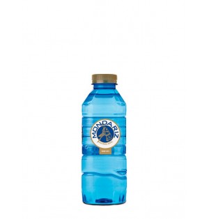 Agua mineral Natural 330 ml
Mondariz PET C/40 (13700006)
