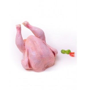 Pollo entero sin menudos
congelado 1600 g Cjx10 Ud 16
kg