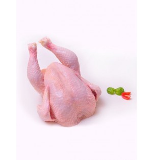 Pollo entero sin menudos
congelado 1800 g Cjx10 Ud 18
kg